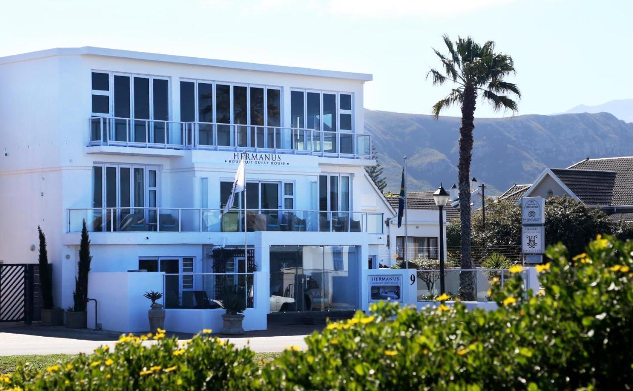 Hermanus Boutique Guest House Ngoại thất bức ảnh